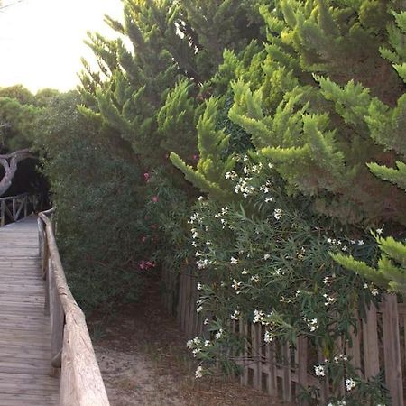 ロタMuy Cerca De La Playa. Primera Linea.アパートメント エクステリア 写真