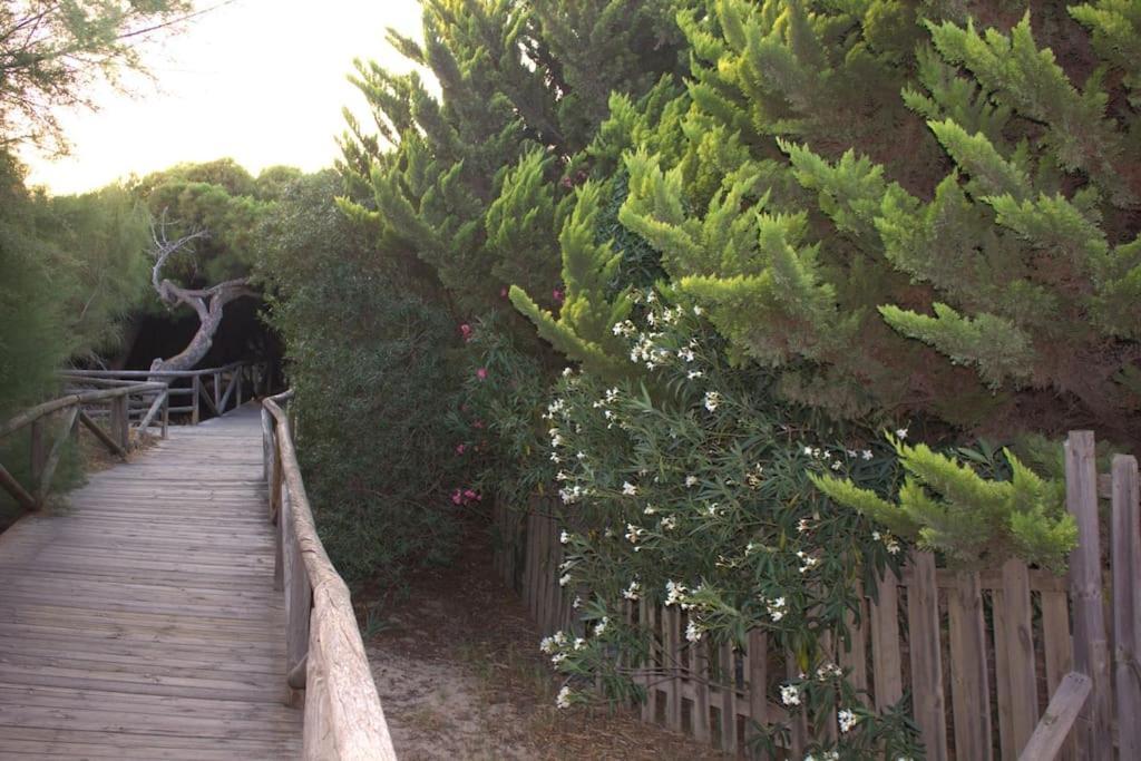 ロタMuy Cerca De La Playa. Primera Linea.アパートメント エクステリア 写真
